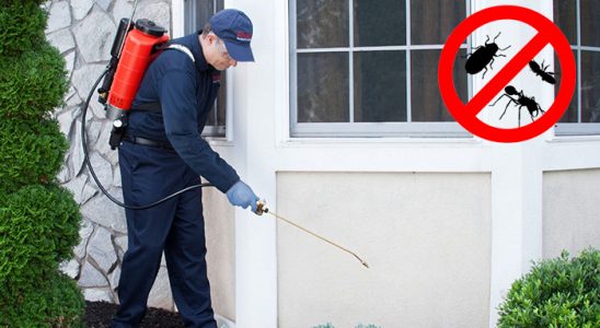 Bozdoğan Böcek ve Haşere İlaçlama böcek ilaçlama ve haşere kontrolü — ilaclama-tr.com